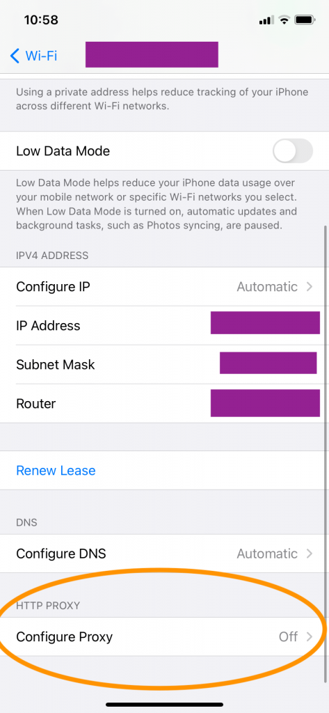 Configuring network proxy in iPhone