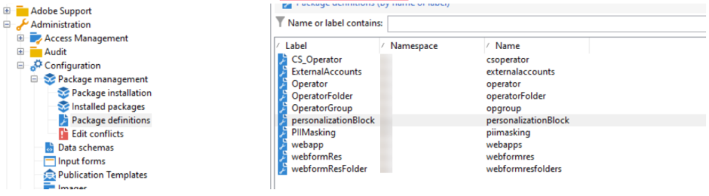 Screenshot of the Adobe Campaign Explorer showing the Package Definition section, where package definitions are created and managed.